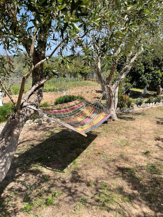 Antigone'S Garden Βίλα Χαλικούνας Εξωτερικό φωτογραφία